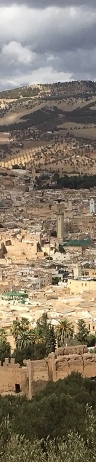 Erkunde die Königsstadt Fès
